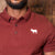 Kingsley Luxe Regular Fit PK Polo Port